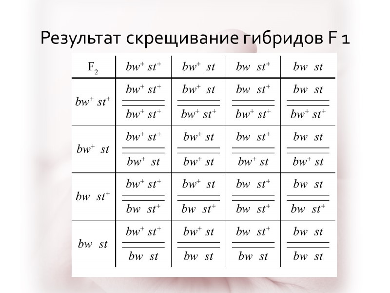 Результат скрещивание гибридов F 1